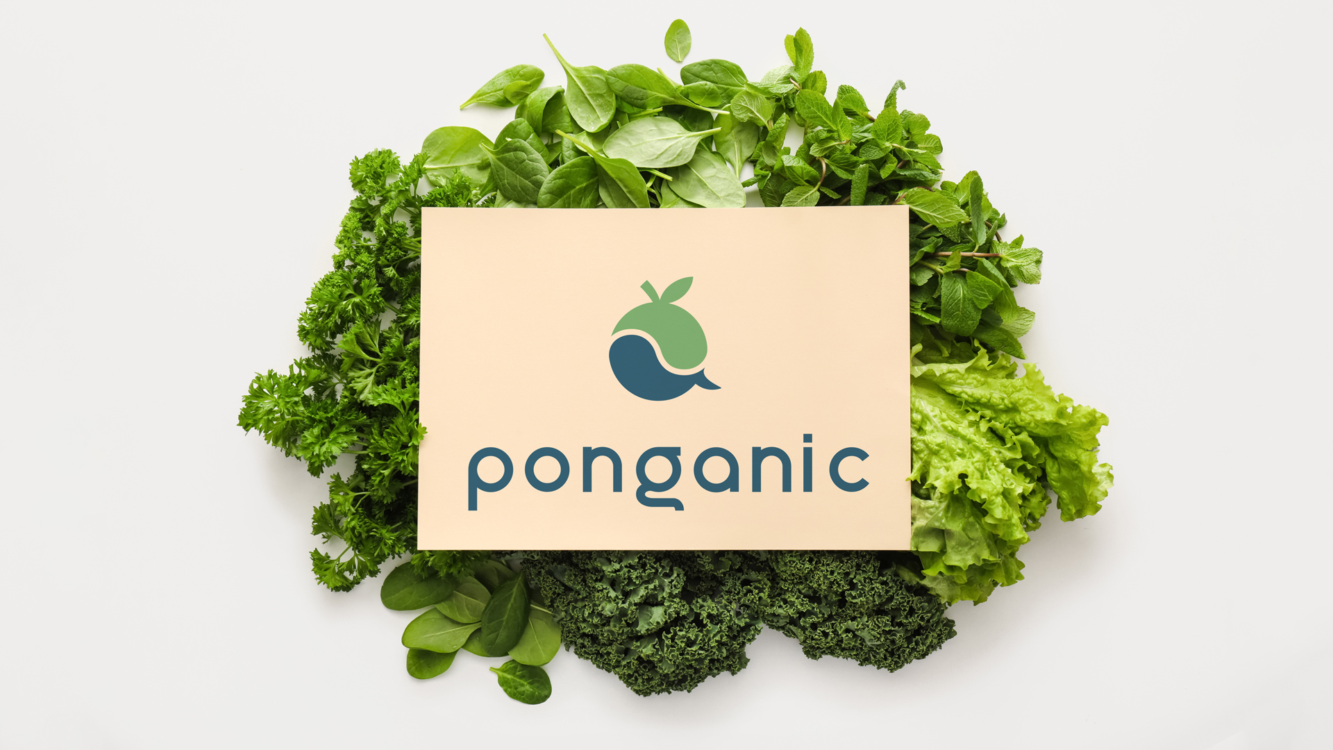 Ponganic Logo Showcase
